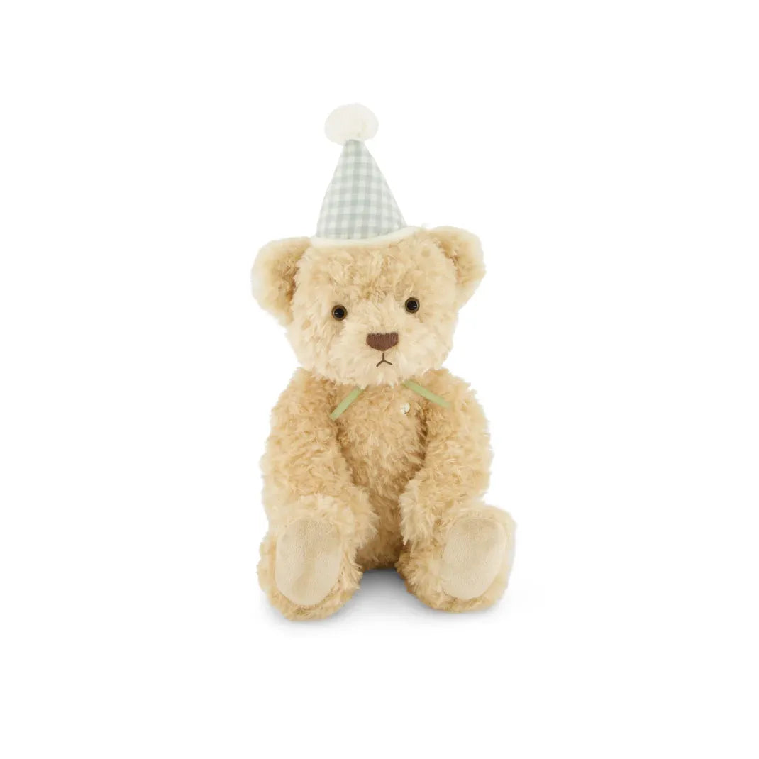 Snuggle Bunnies - Birthday Arthur - Gingham