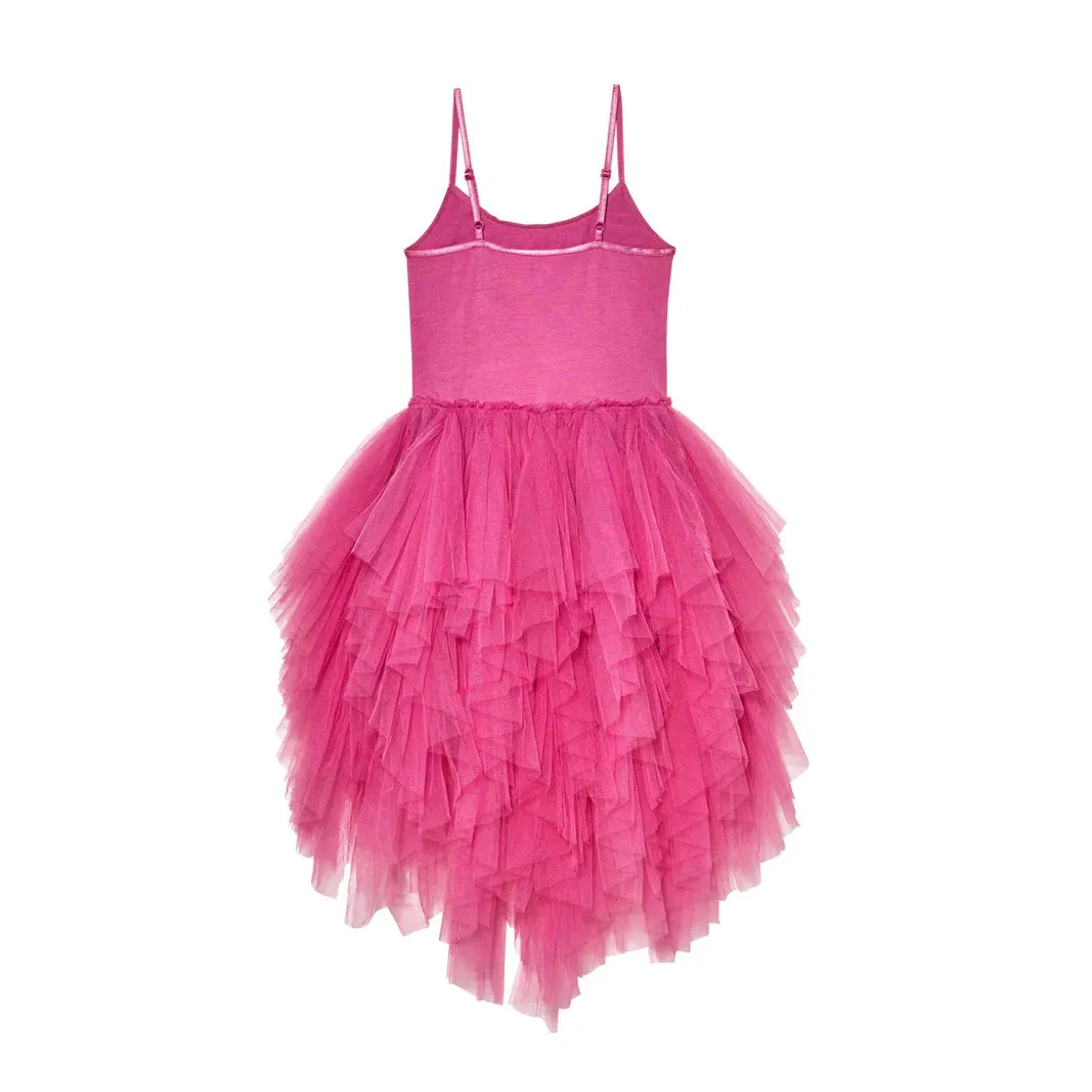 Magical Spectrum Tutu Dress