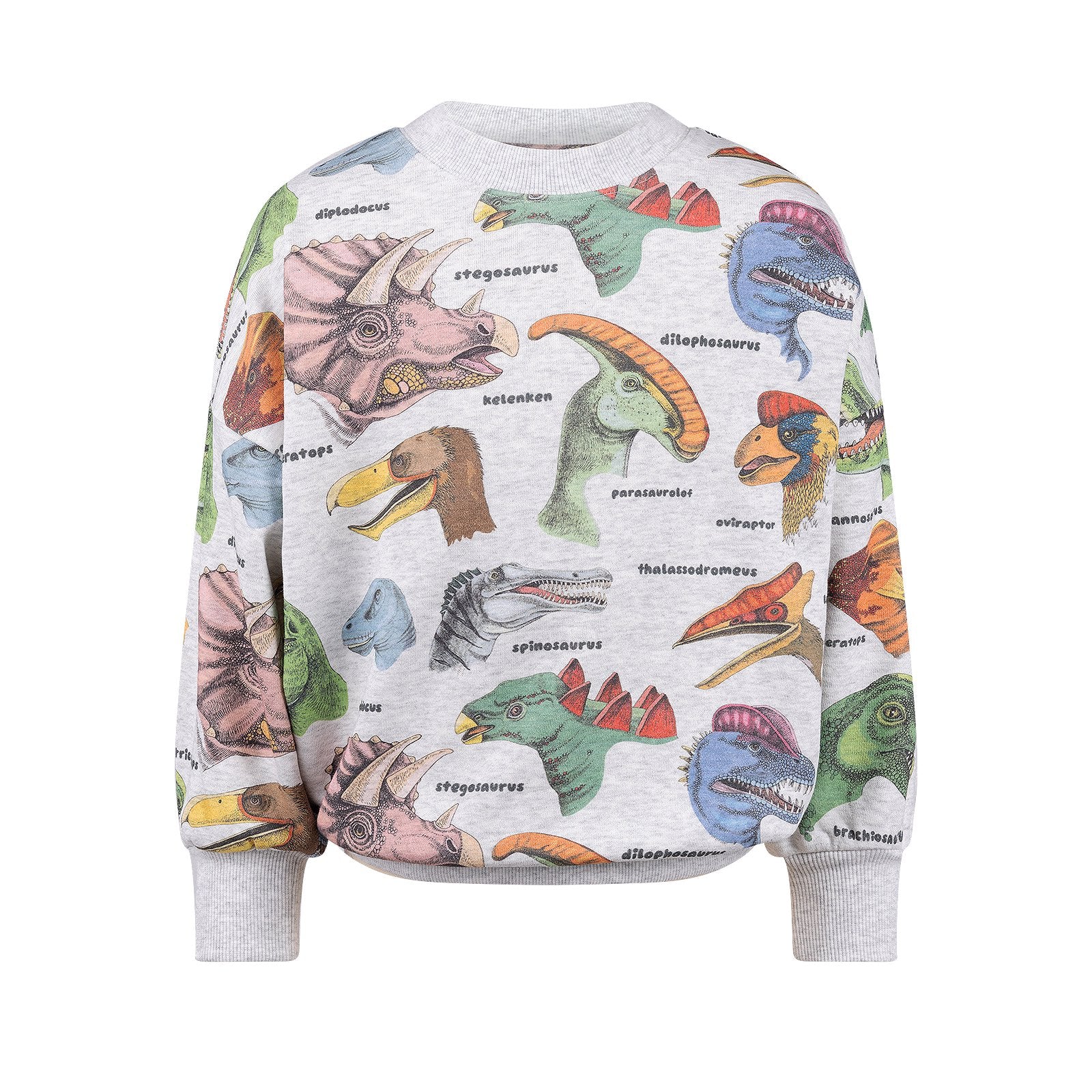 Dino Bright Sweatshirt