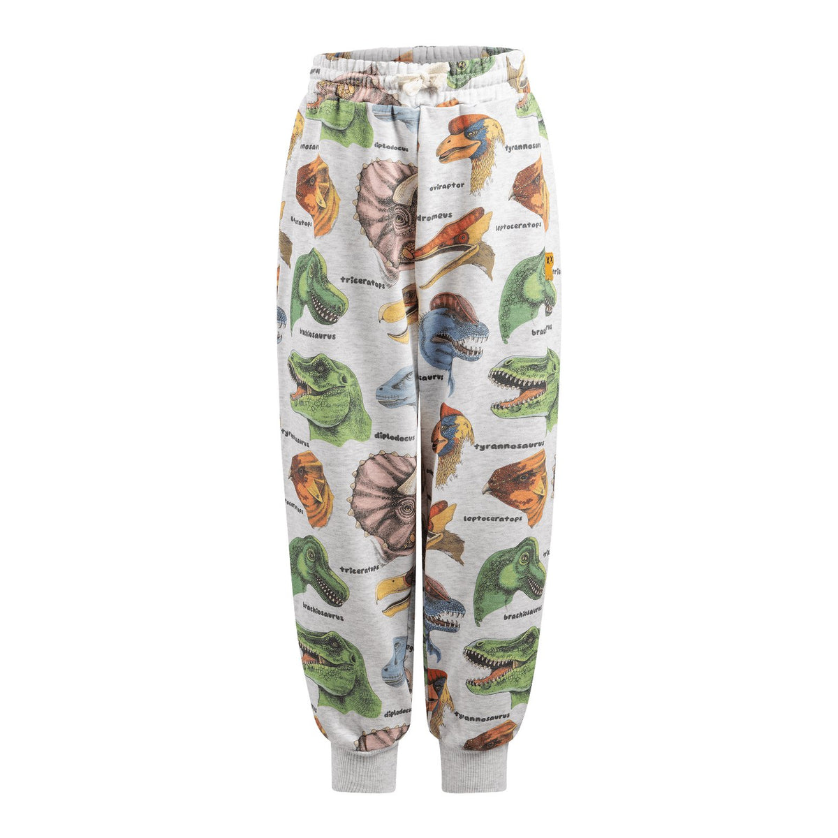 Dino Bright Track Pants
