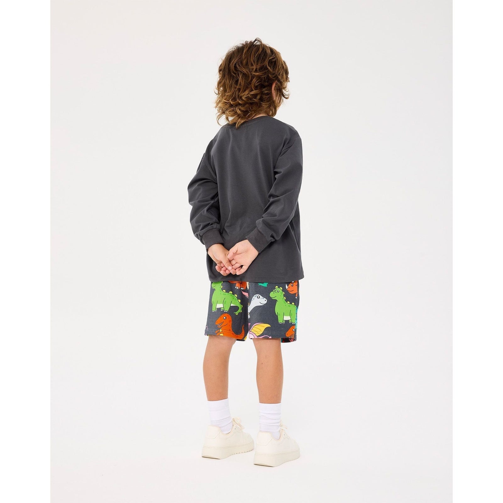 Dino Stack Long Sleeve T-Shirt