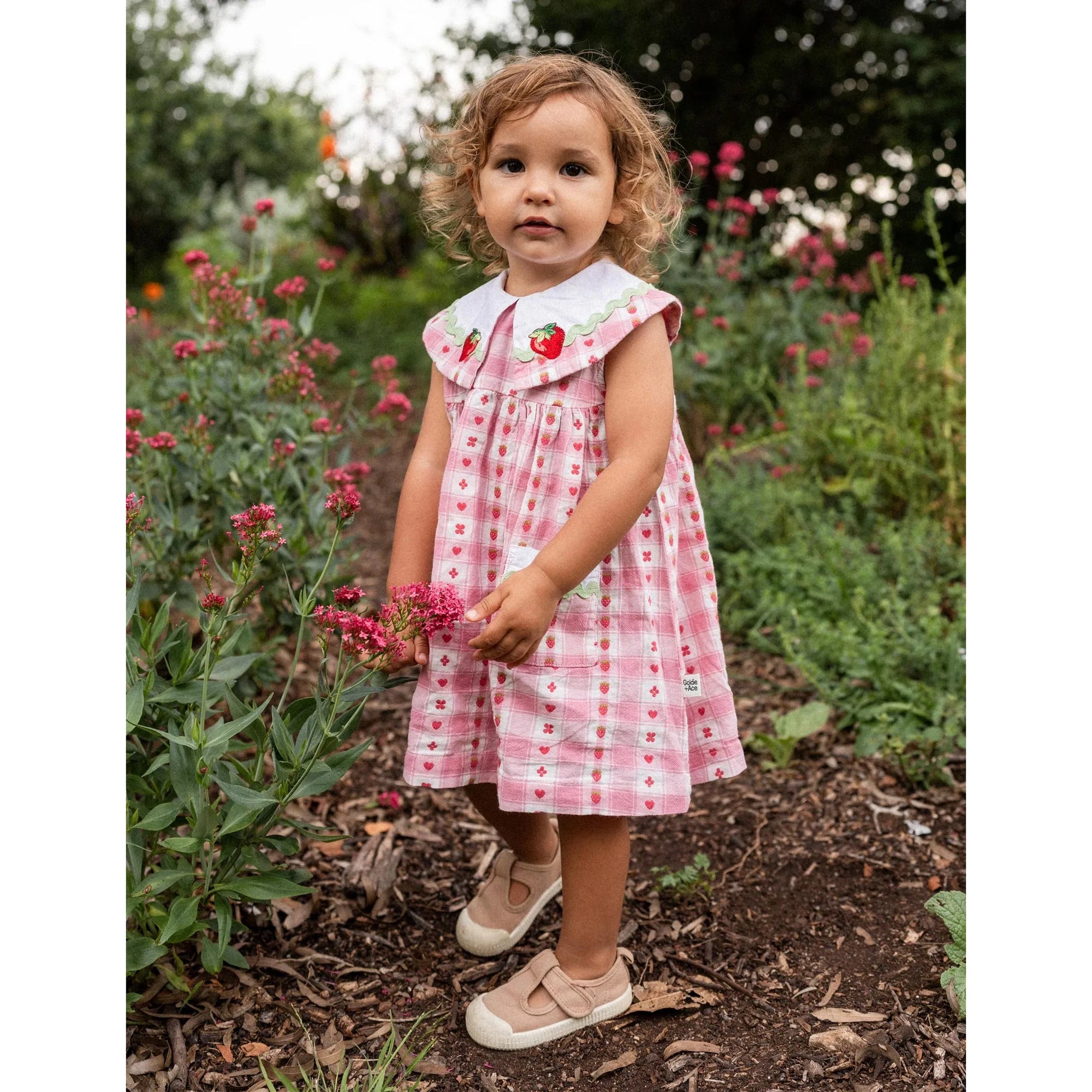 Lucy Collared Very Berry Gingham Dress