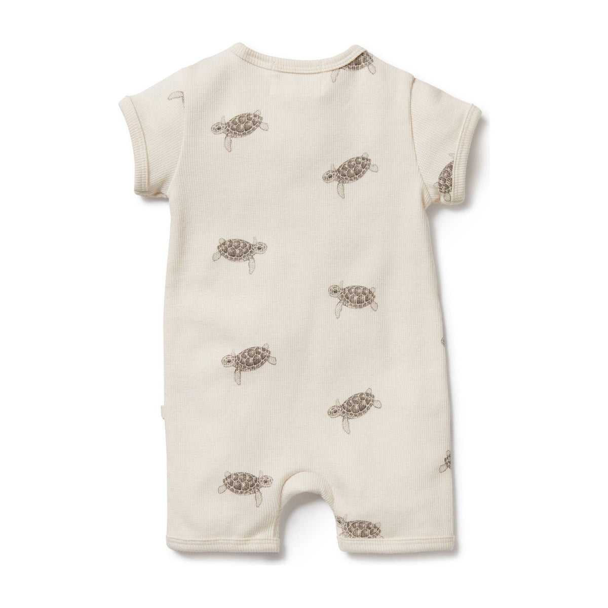 Tiny Turtle Organic Boyleg Zipsuit