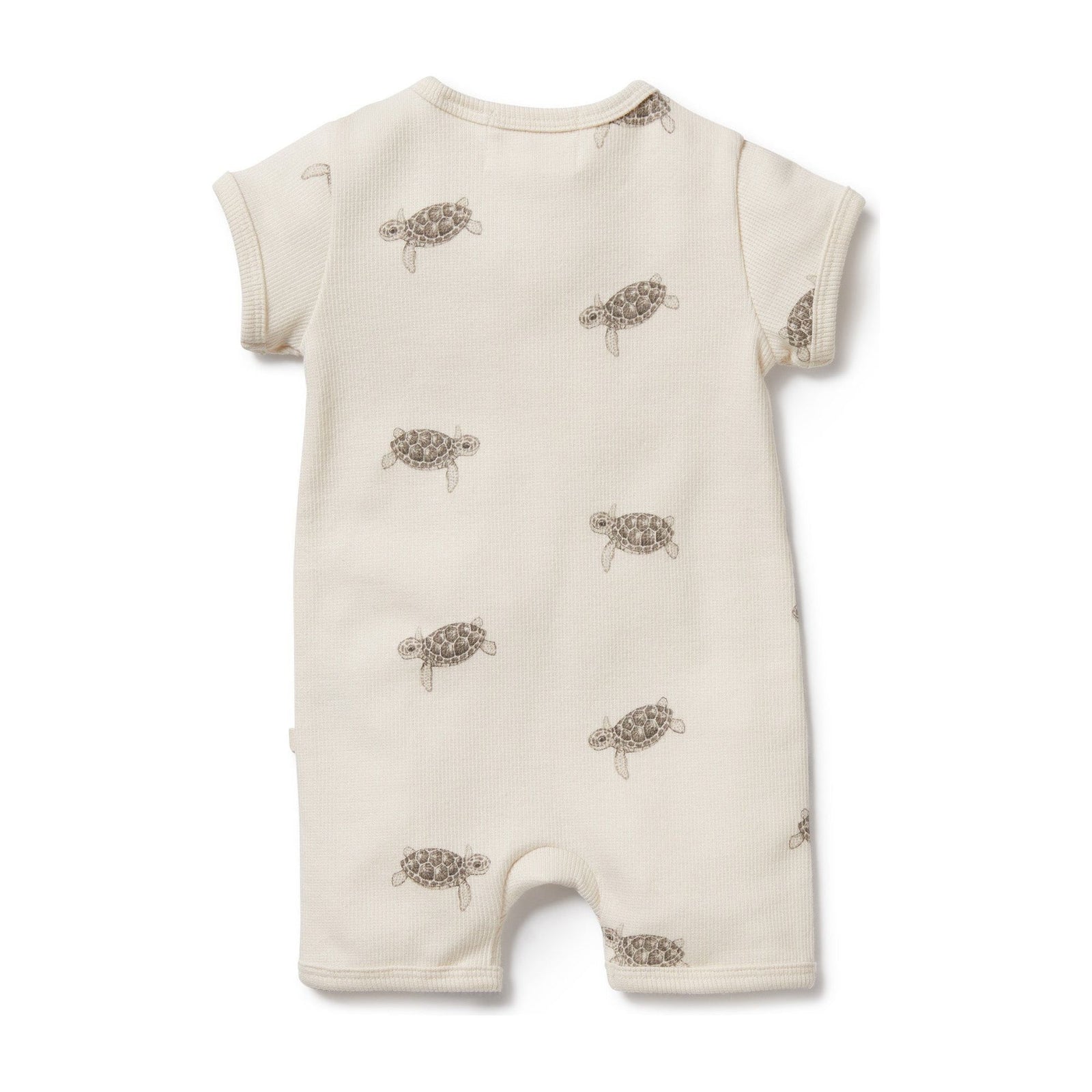 Tiny Turtle Organic Boyleg Zipsuit