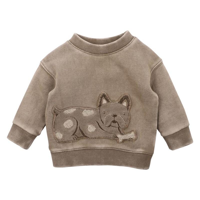 Austin Dog Sweat Top