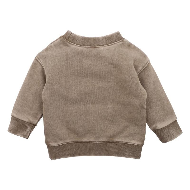 Austin Dog Sweat Top