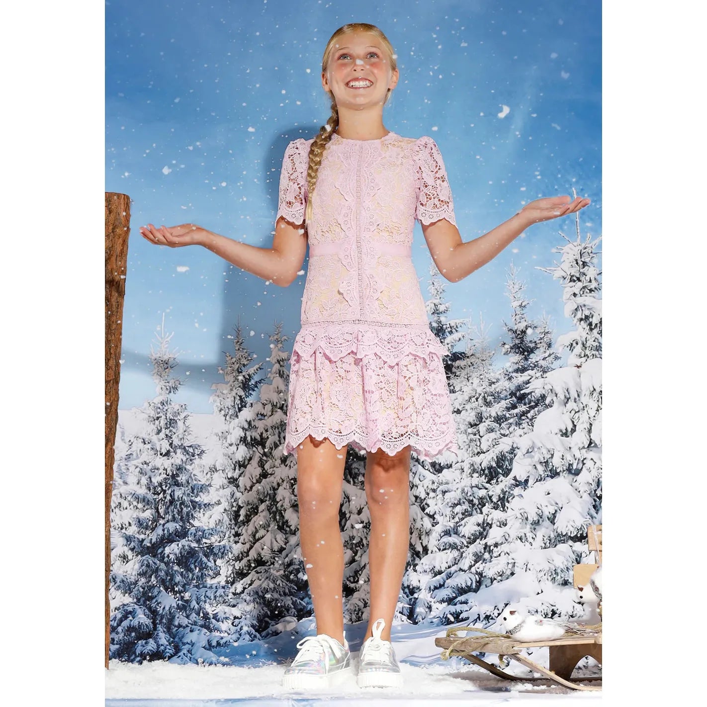 Charlotte Embroidered Dress