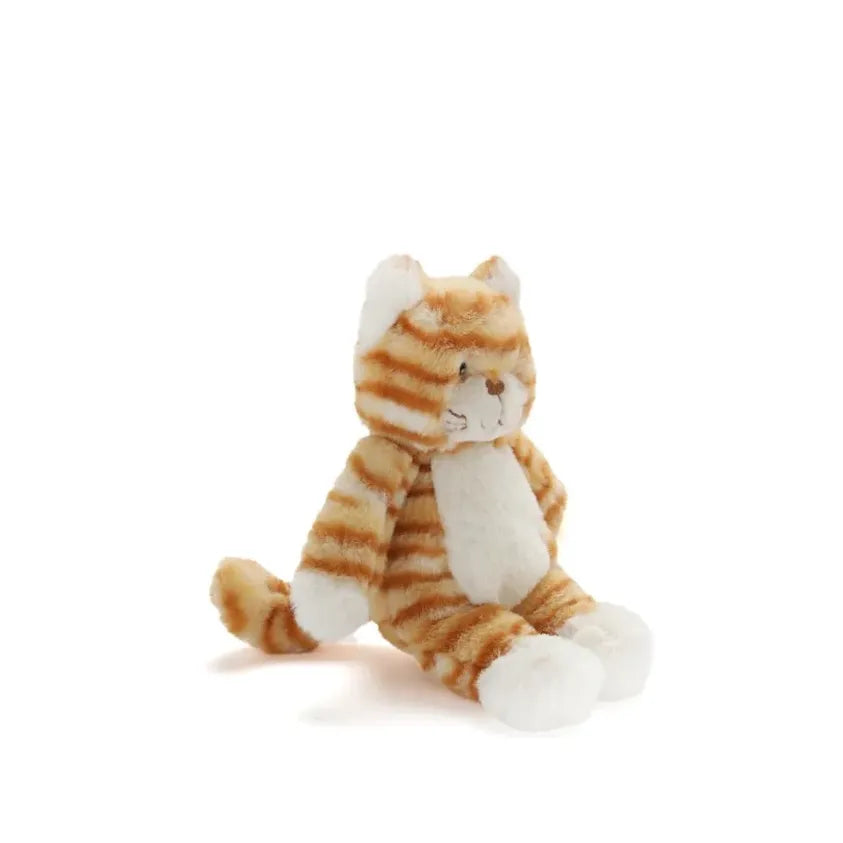 Ginger the Kitten