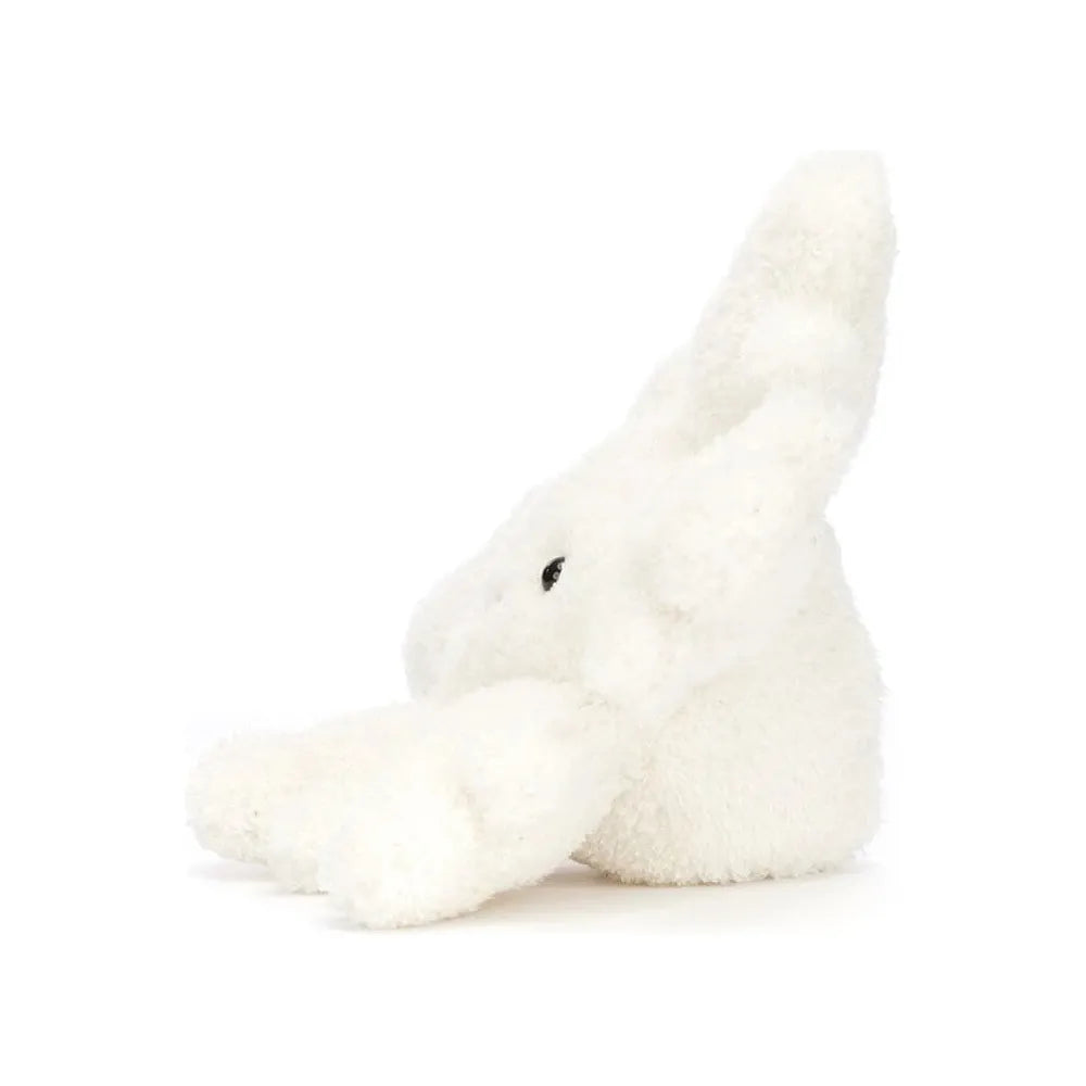 Amuseable Snowflake Little