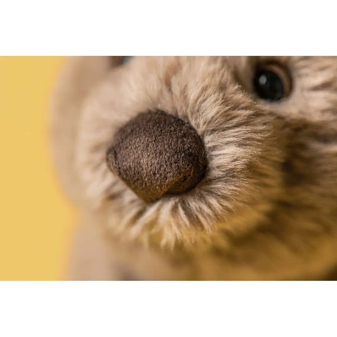 Wonda Wombat