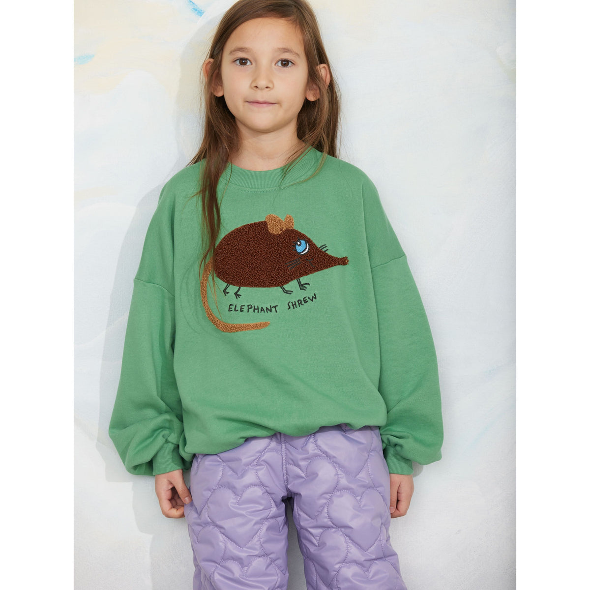 Elephant Shrew Chenille Sweatshirt - Green