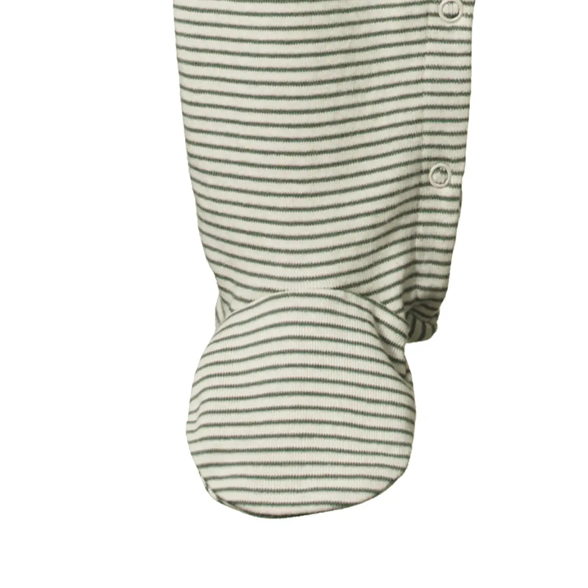 Stretch & Grow - Nettle Pinstripe