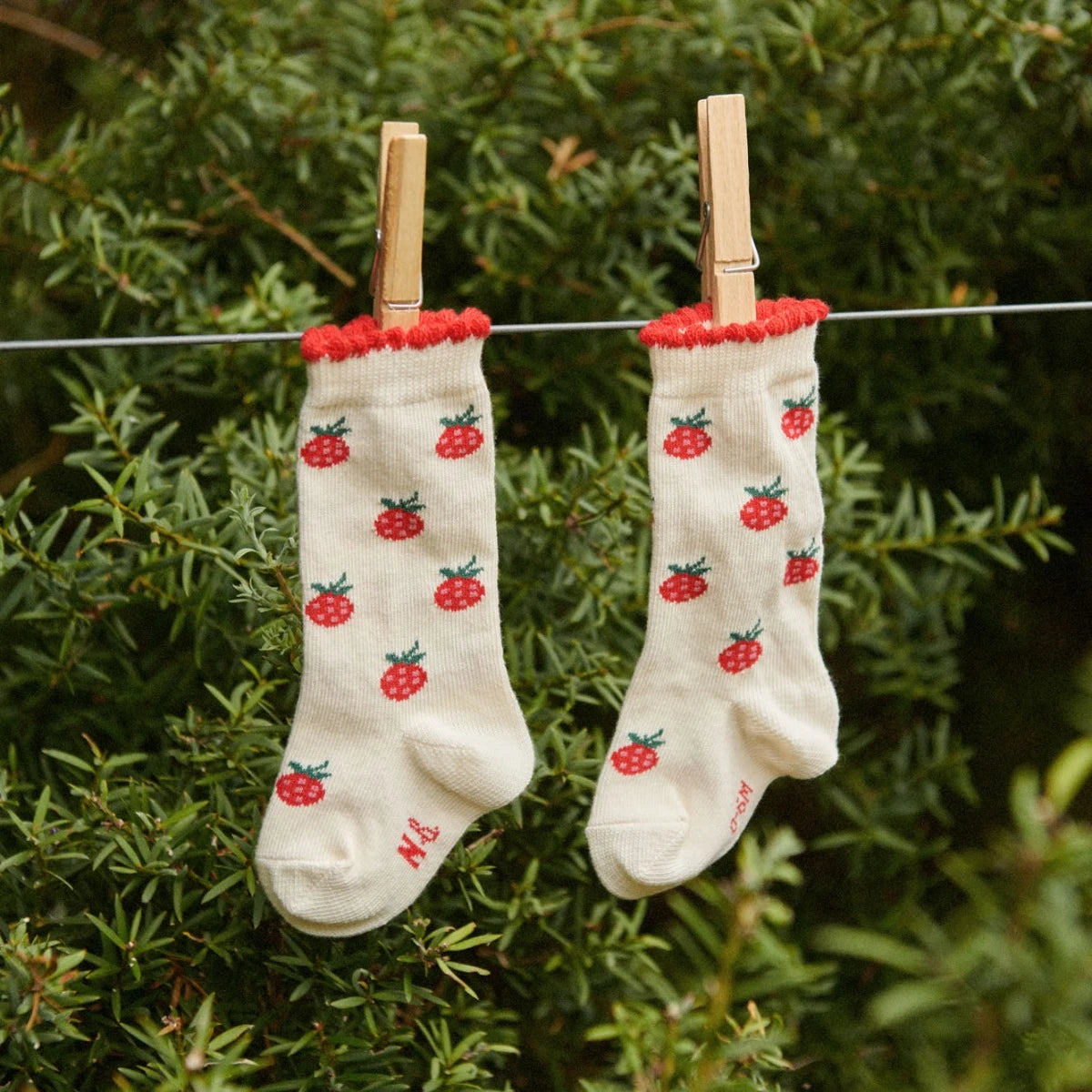 Organic Cotton Socks - Rasberries