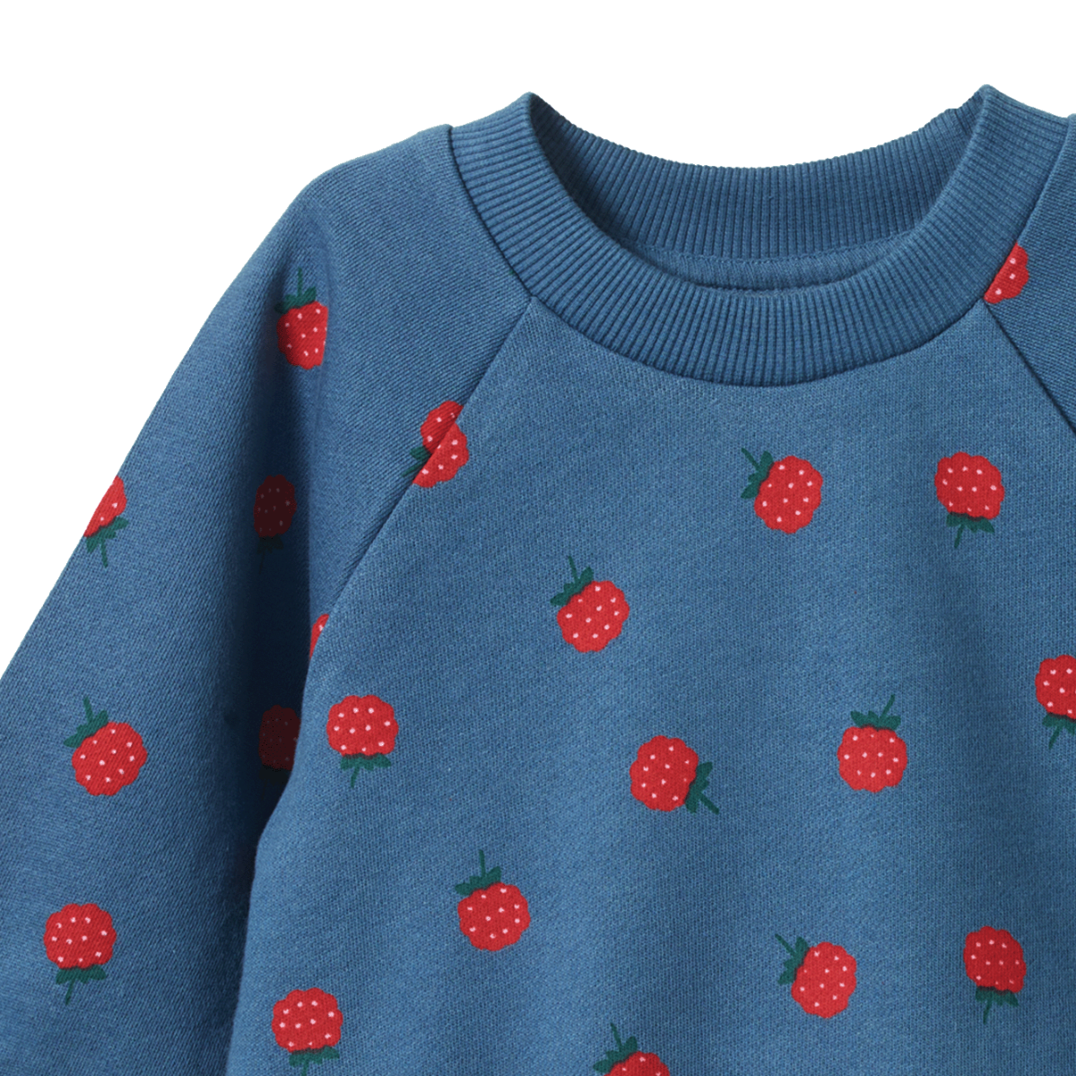 Emerson Sweater - Raspberry Blue Print