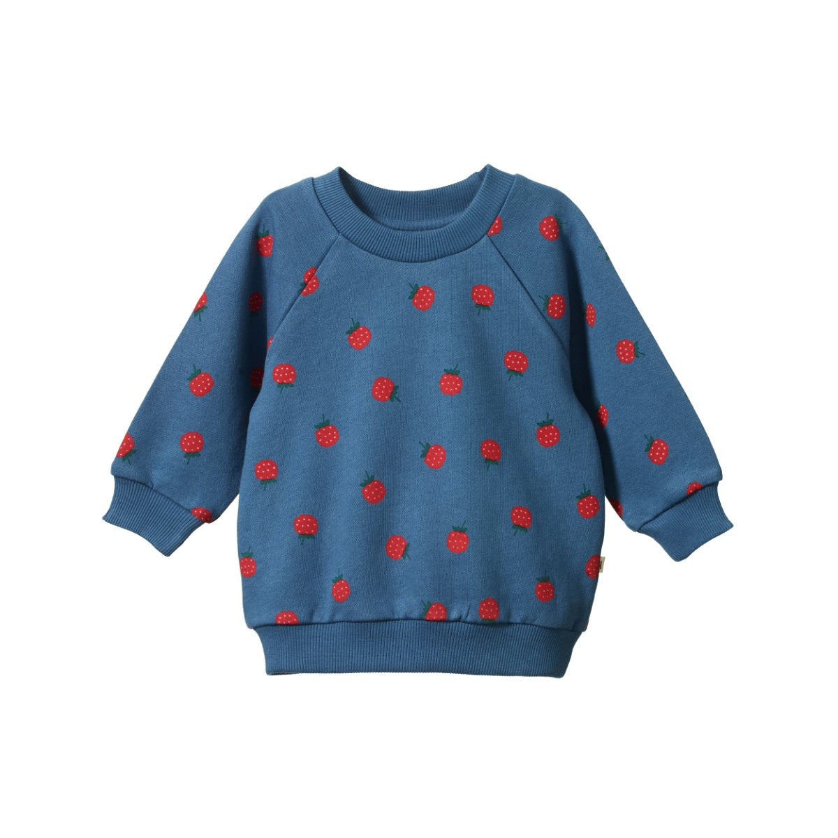 Emerson Sweater - Raspberry Blue Print