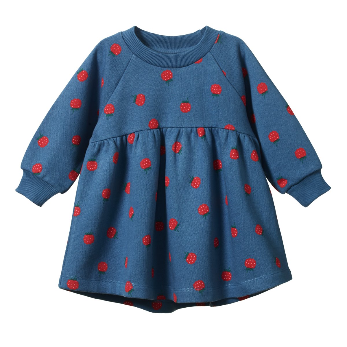 Ines Dress - Raspberry Blue Print