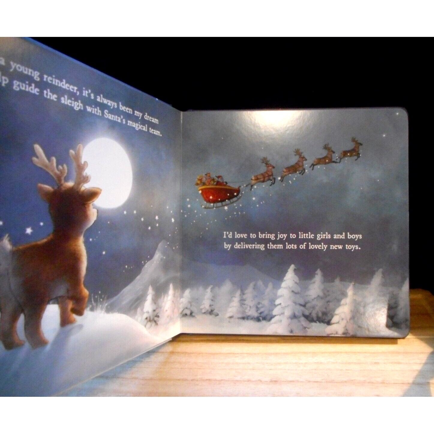 Mitzi Reindeer Dream Book