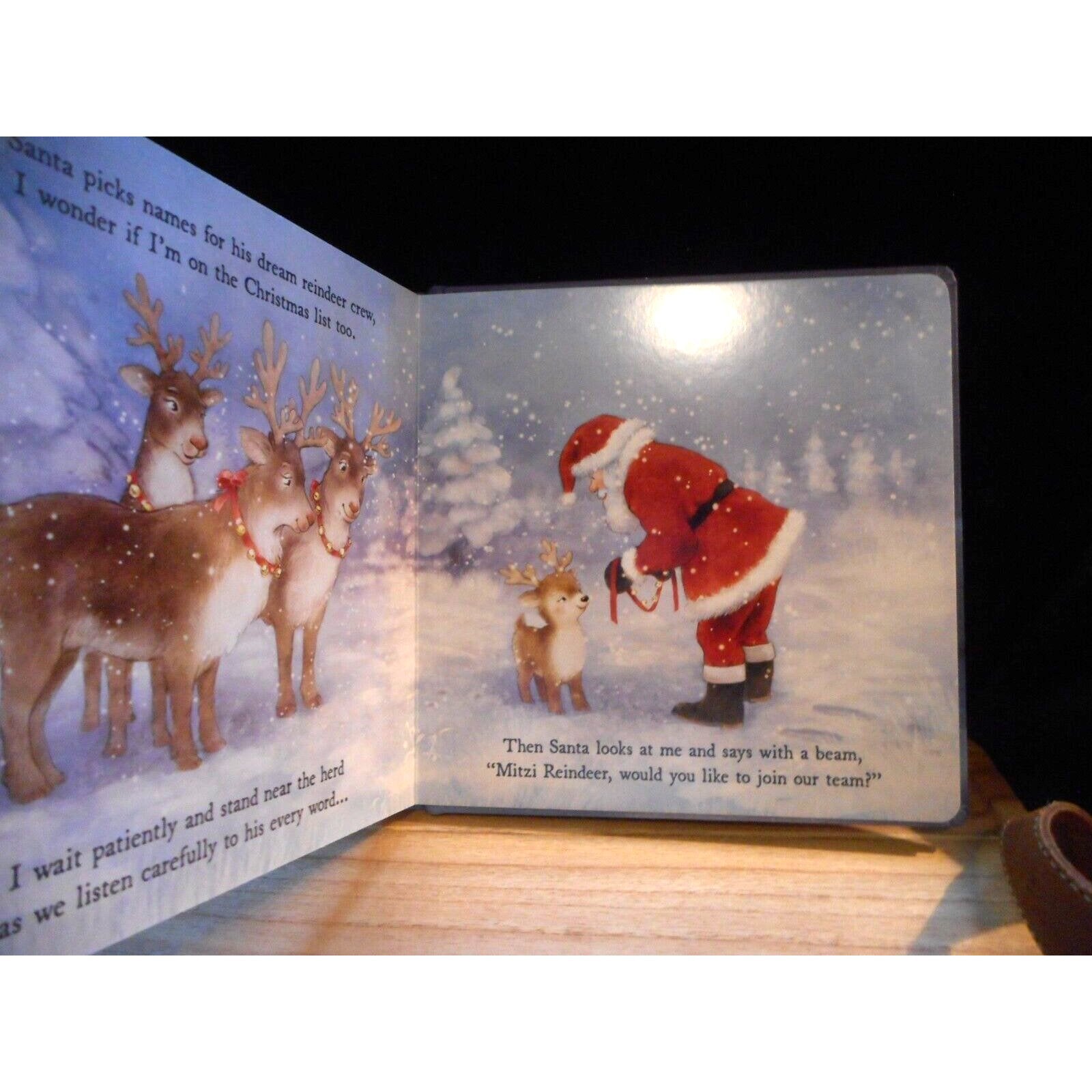 Mitzi Reindeer Dream Book