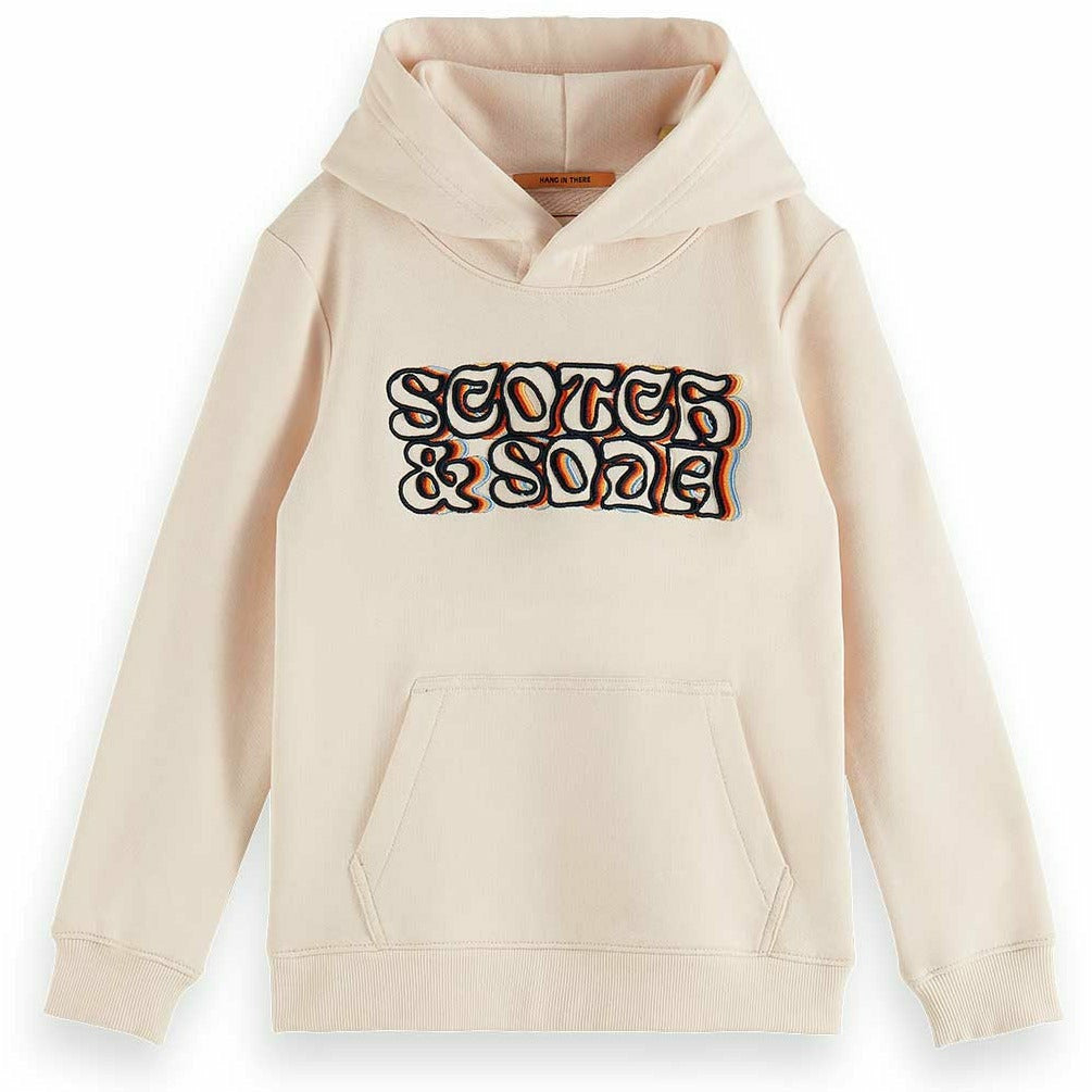 Hoodie With Embroidery Artwork