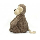 Bashful Monkey Medium