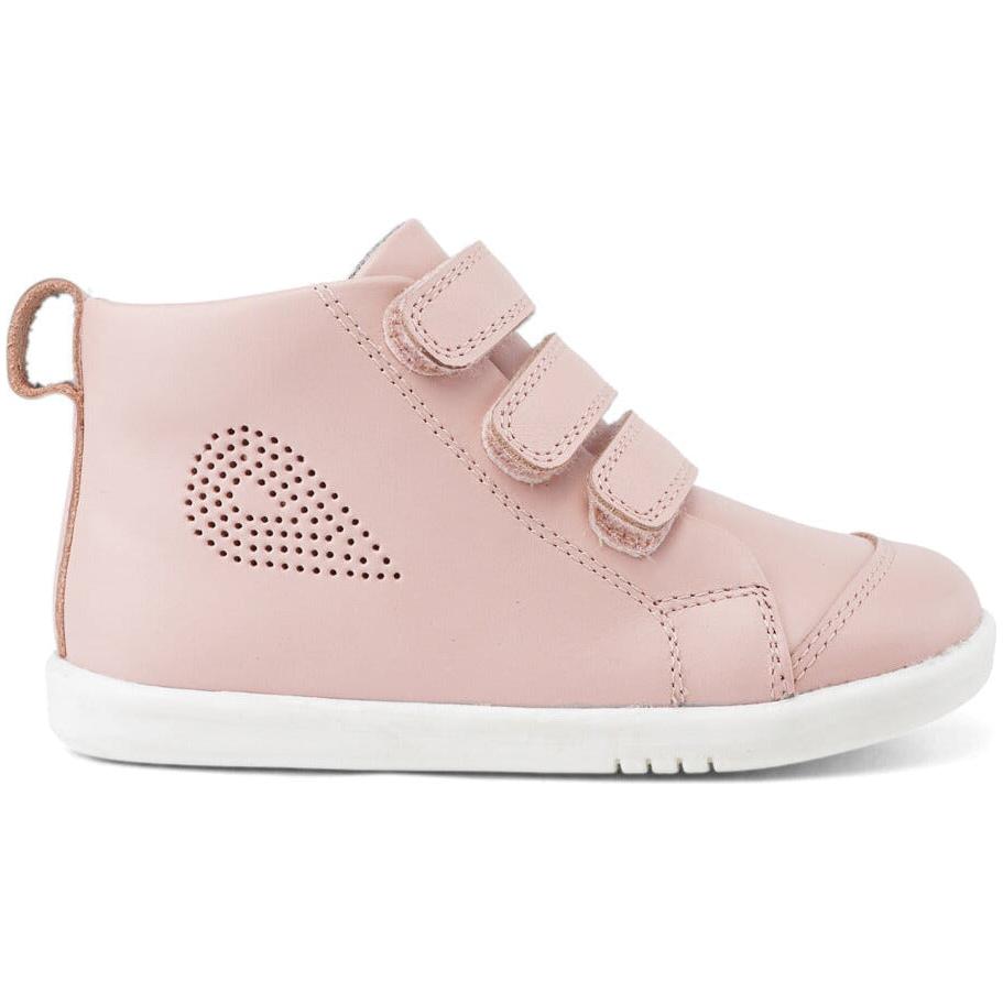 IW Hi Court Seashell