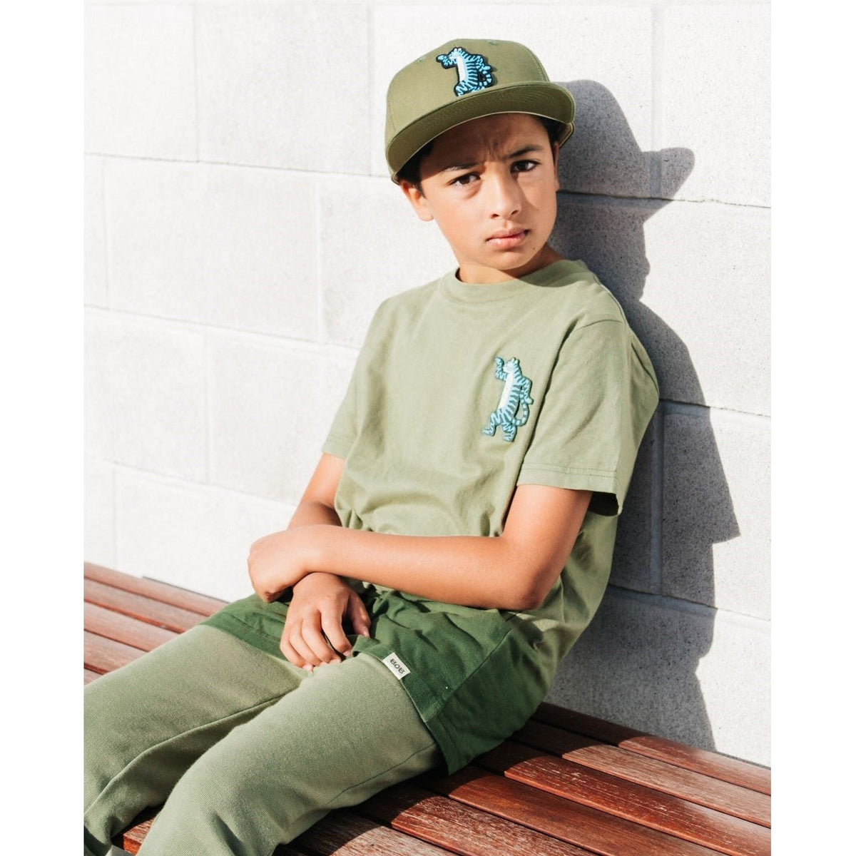 Dancing Tiger Hip Hop Cap