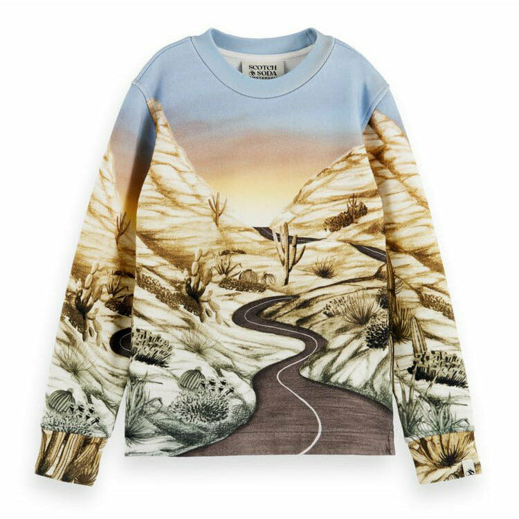 Boxy-Fit All-Over Photo-Print Sweat