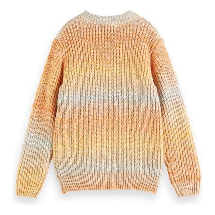 Gradient Crewneck Pullover Knit