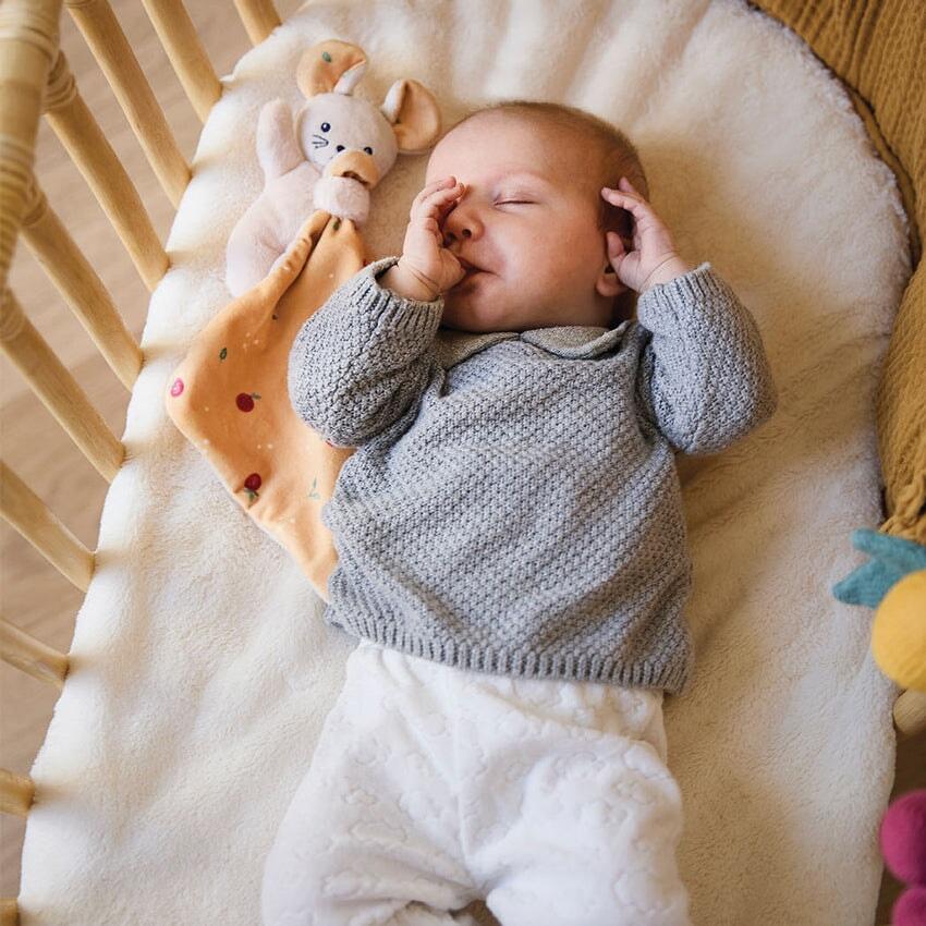 Carre Doudou Mouse Fruits