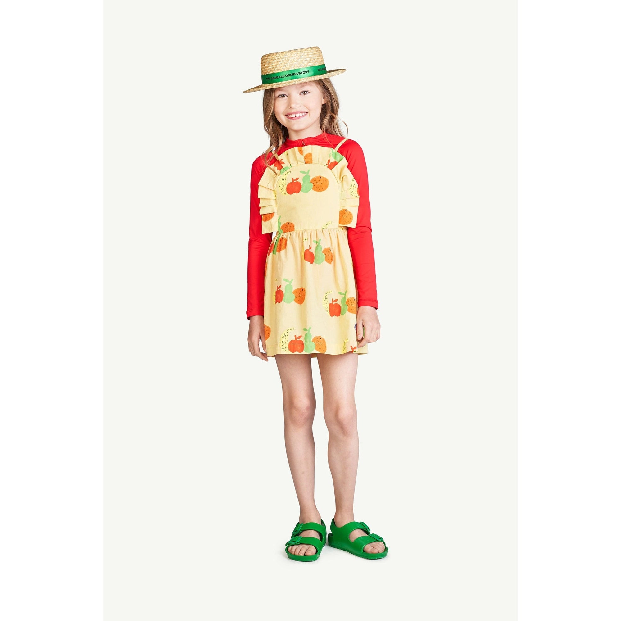 Yellow Fruits Dragonfly Dress
