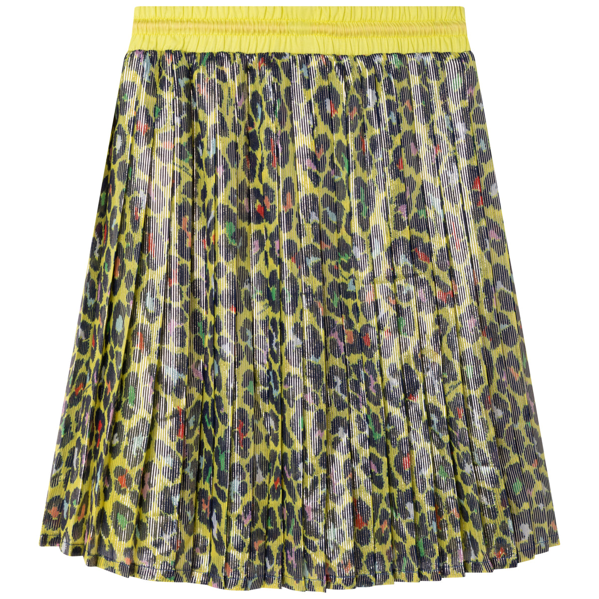Pleated Voile Skirt - Multi