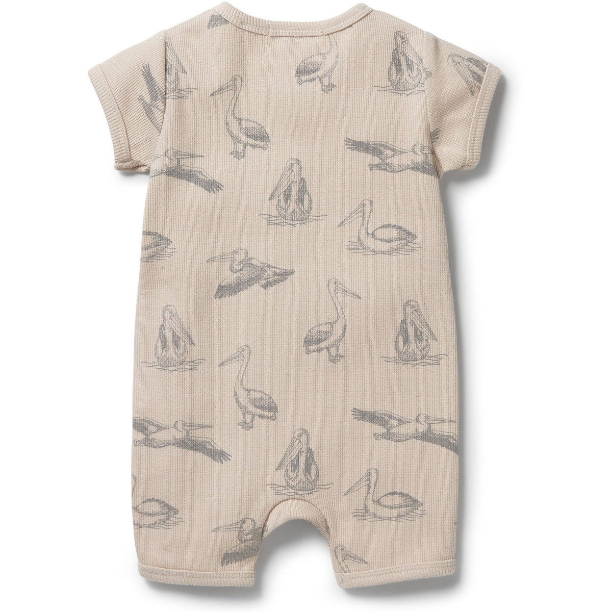 Organic Rib Boyleg Zipsuit- Little Pelican