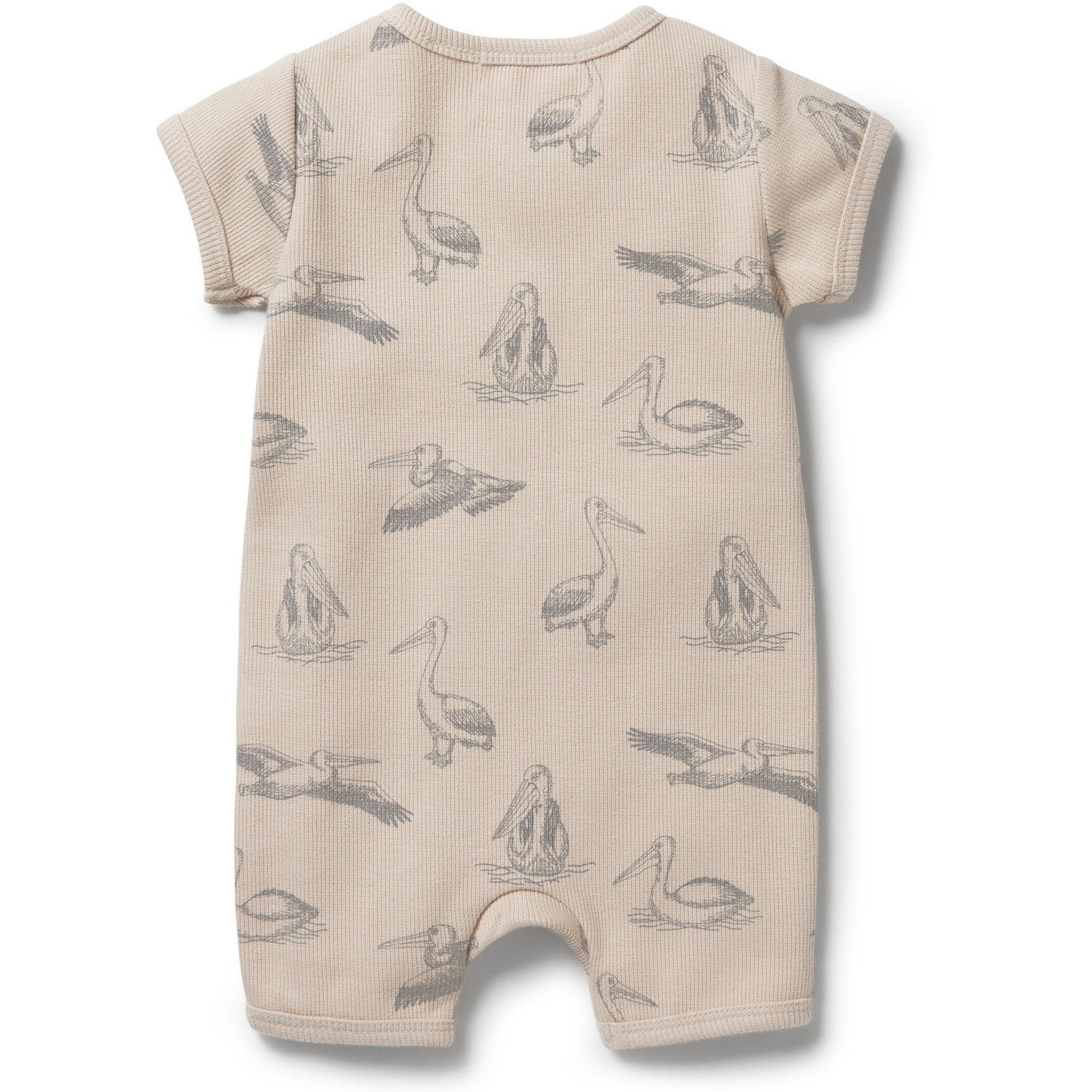 Organic Rib Boyleg Zipsuit- Little Pelican