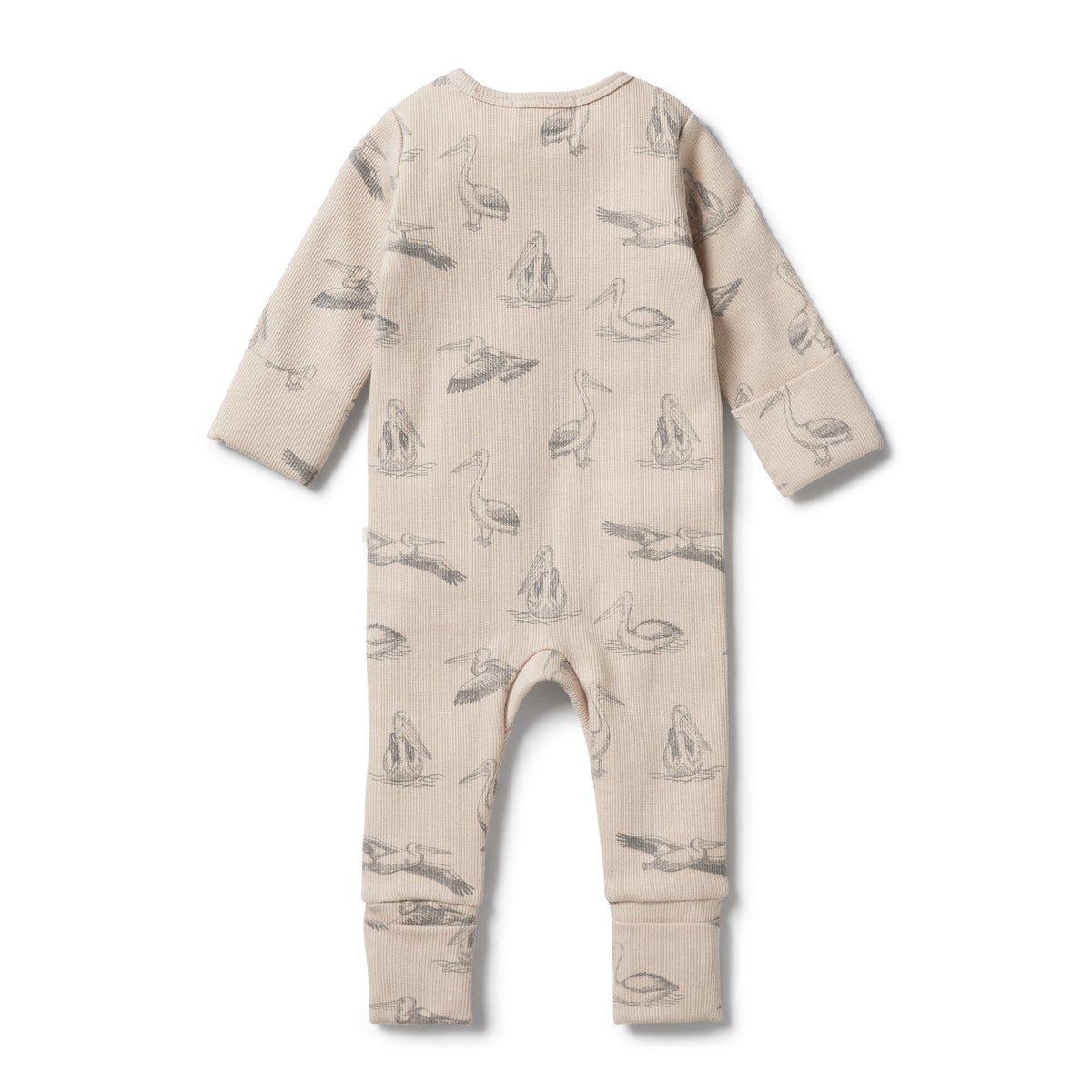 Organic Rib Zipsuit with Feet- Little Pelican