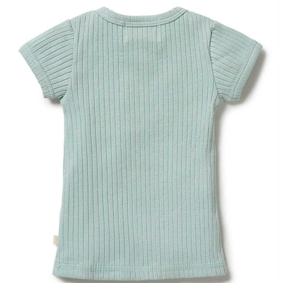 Organic Rib Top - Pistachio