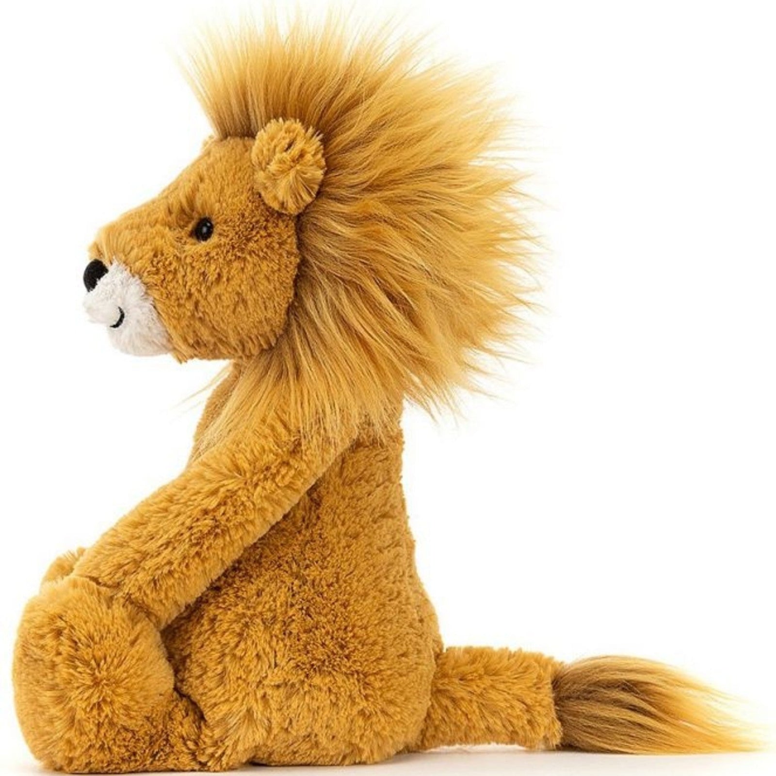 Bashful Lion Medium