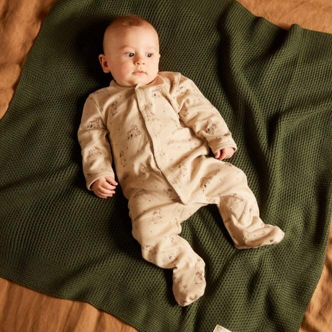 Stretch & Grow - Forest Friends