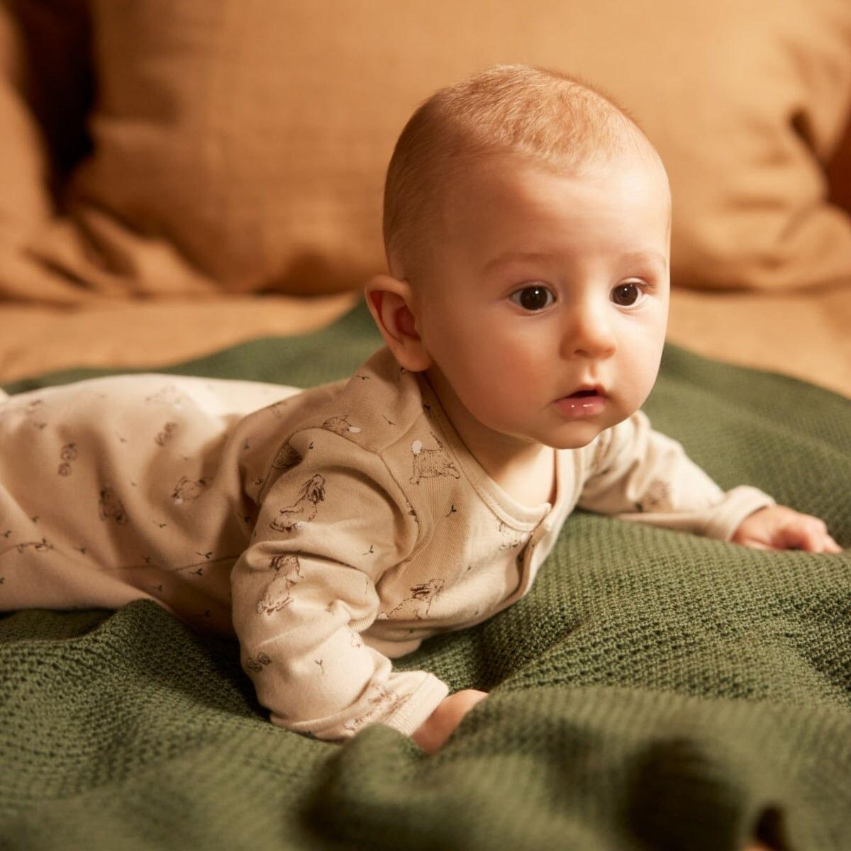 Stretch & Grow - Forest Friends